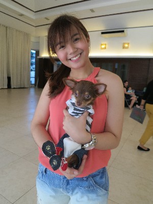 Celebs bring their dogs at Kathryn Bernardo's dog party 