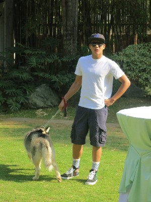 Celebs bring their dogs at Kathryn Bernardo's dog party 
