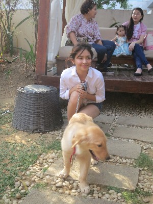 Celebs bring their dogs at Kathryn Bernardo's dog party 